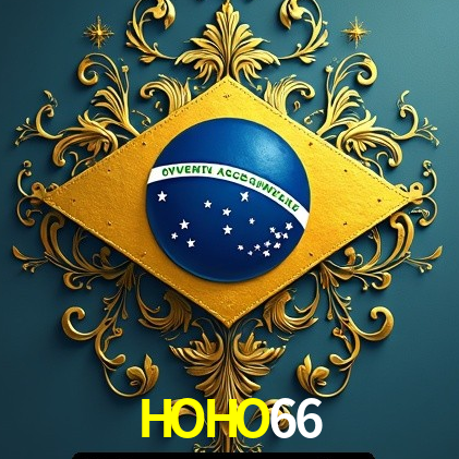 Interface Premium HOHO66