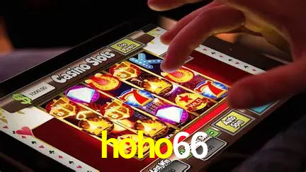 Live Casino hoho66