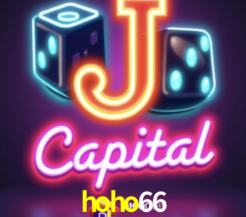 API Integration hoho66